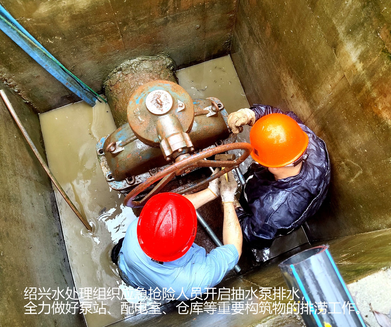 1627523875886612.jpg 1627523875886612.jpg